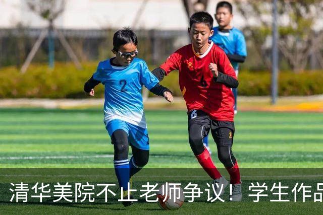 清华美院不止老师争议！学生作品引诸多质疑，问题藏在选拔机制里