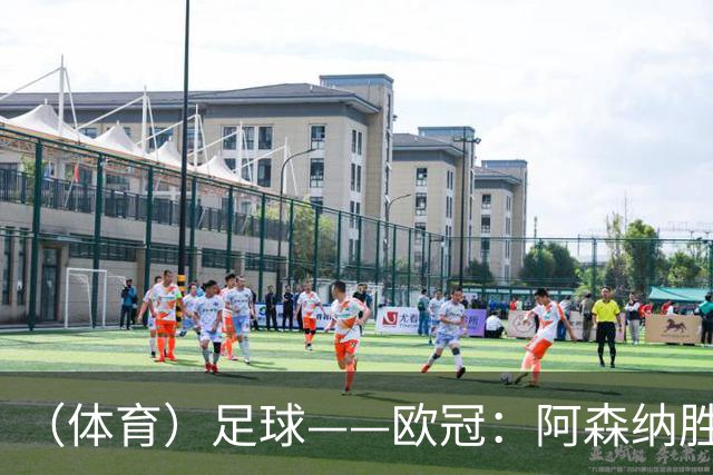 （体育）足球——欧冠：阿森纳胜那不勒斯