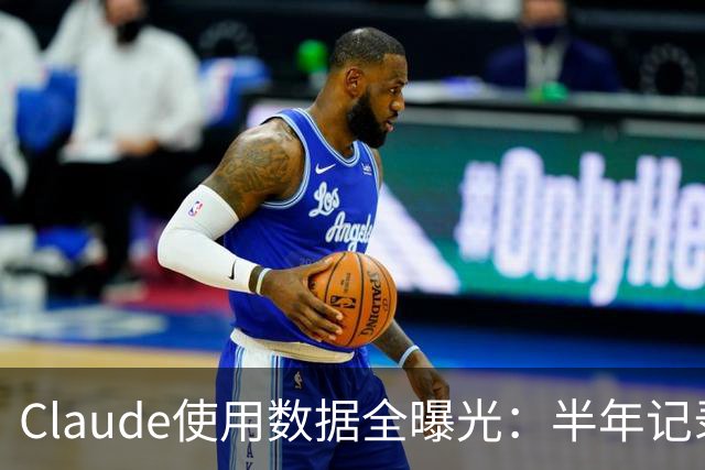 Claude使用数据全曝光：半年记录逐条可查，半页都是推销
